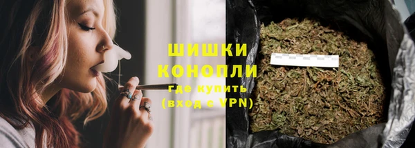 PSILOCYBIN Алексеевка