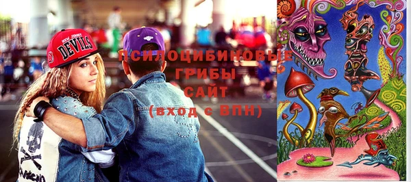 PSILOCYBIN Алексеевка