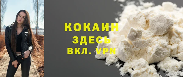 PSILOCYBIN Алексеевка